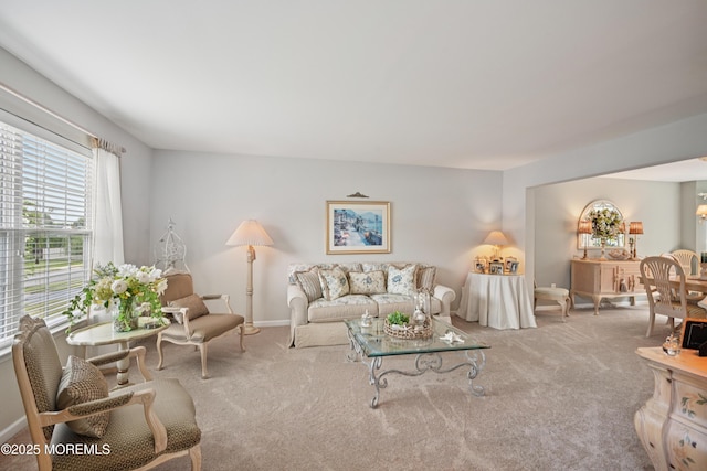 21 Orchid Ln, Barnegat, NJ 08005 - carpeted living room with baseboards