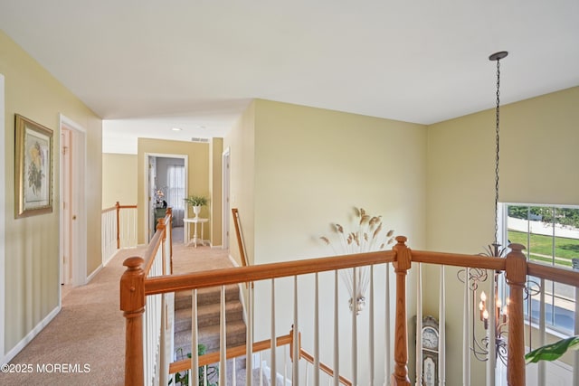 21 Orchid Ln, Barnegat, NJ 08005 - hallway featuring an upstairs landing and carpet flooring