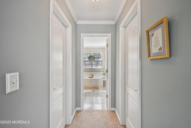 21 Orchid Ln, Barnegat, NJ 08005 - corridor featuring crown molding and light carpet
