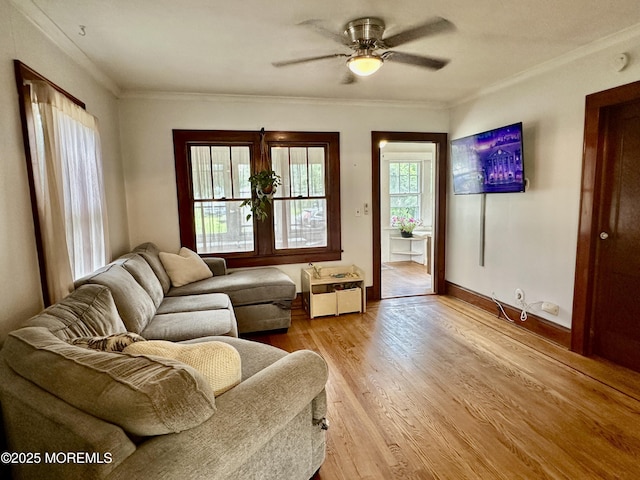 357 Boland Ave, Brick, NJ 08724 - living area featuring a ceiling fan, crown molding, and light wood-type flooring