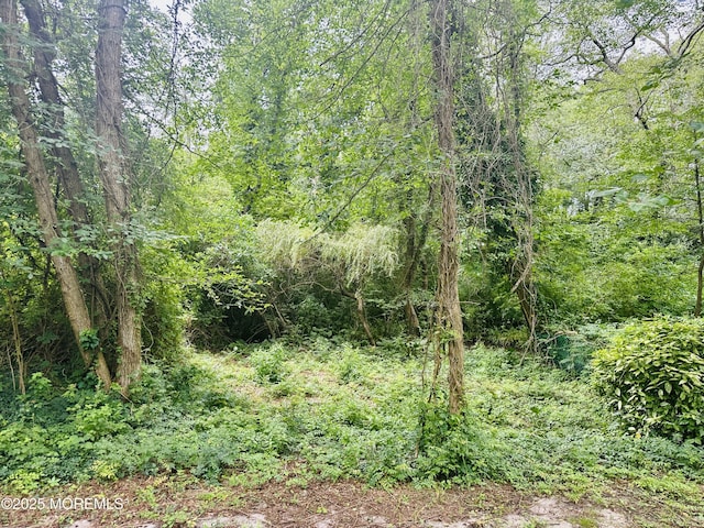 357 Boland Ave, Brick, NJ 08724 - view of wooded area