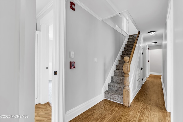900 Ocean Ave, Bradley Beach, NJ 07720 - stairs with wood finished floors