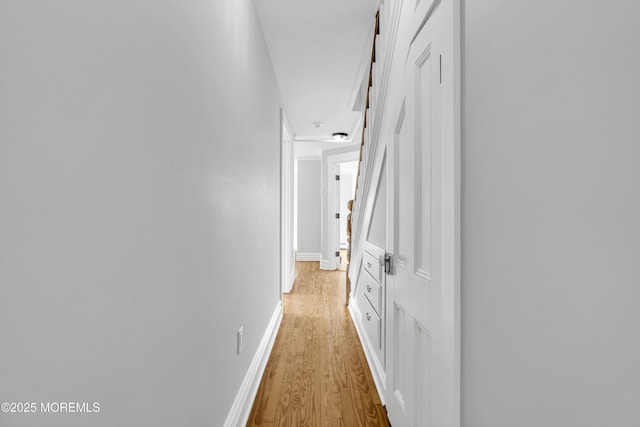 900 Ocean Ave, Bradley Beach, NJ 07720 - corridor with light wood-style flooring and baseboards