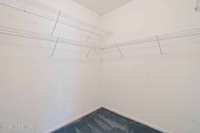 98 Mirage Blvd, Barnegat, NJ 08005 - spacious closet featuring dark colored carpet