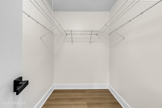 104 Dundee Ct, Aberdeen, NJ 07747 - walk in closet with wood finished floors