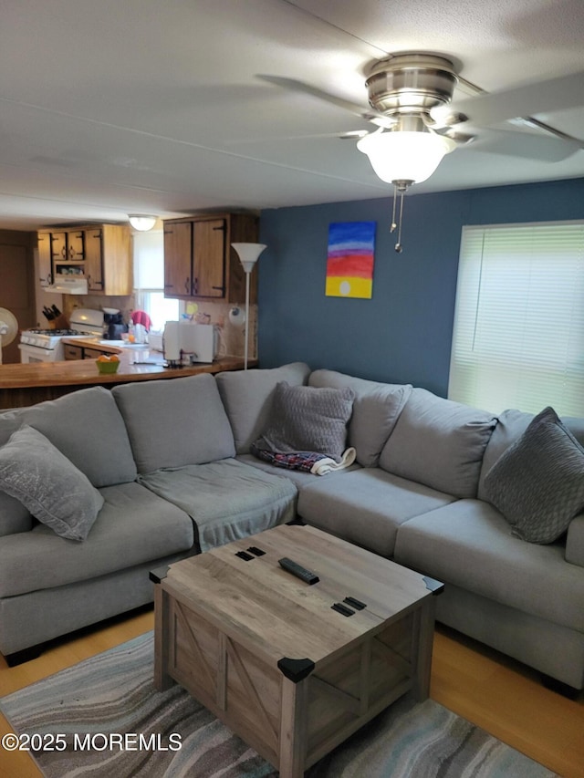 1881 Rte 37 Unit 347, Toms River, NJ 08757 - living area featuring a ceiling fan and light wood finished floors