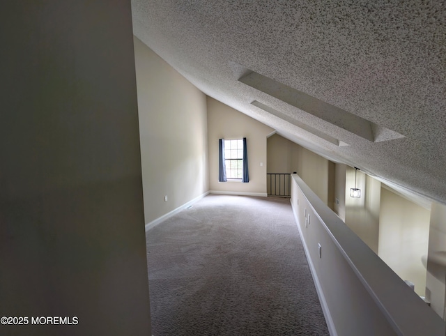 101 Begonia Ct, Jackson, NJ 08527 - additional living space featuring a textured ceiling, lofted ceiling, and carpet