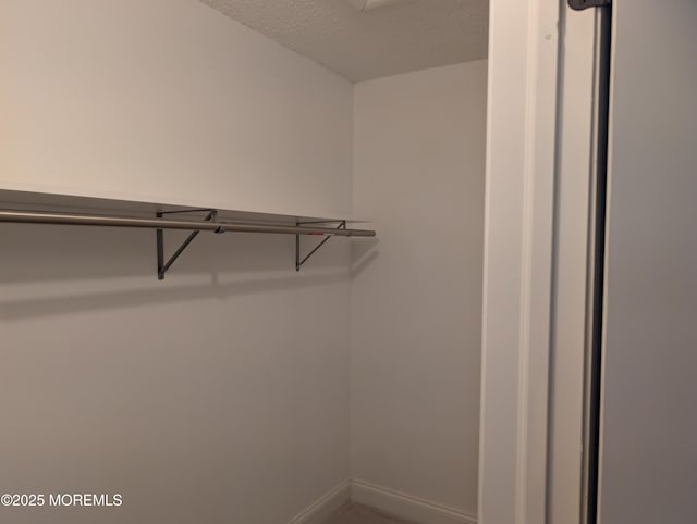 101 Begonia Ct, Jackson, NJ 08527 - view of spacious closet