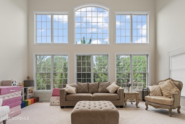1 Hopkinson Ct, Marlboro, NJ 07746 - carpeted living area featuring a high ceiling and plenty of natural light