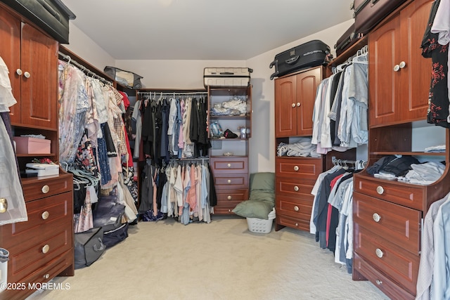 1 Hopkinson Ct, Marlboro, NJ 07746 - spacious closet featuring light colored carpet