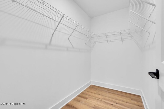 629 Monmouth Ave, Toms River, NJ 08757 - walk in closet with light wood finished floors