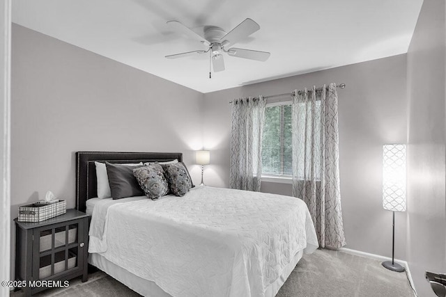 10 Peacock Pl, Howell, NJ 07731 - photo 12