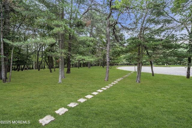 925 Edgebrook Dr N, Toms River, NJ 08757 - view of grassy yard