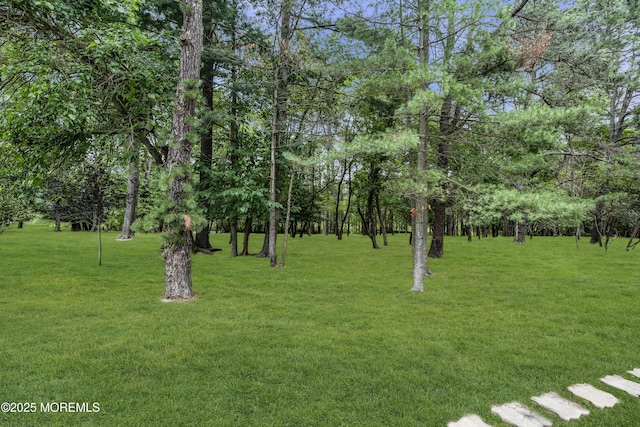 925 Edgebrook Dr N, Toms River, NJ 08757 - view of green lawn