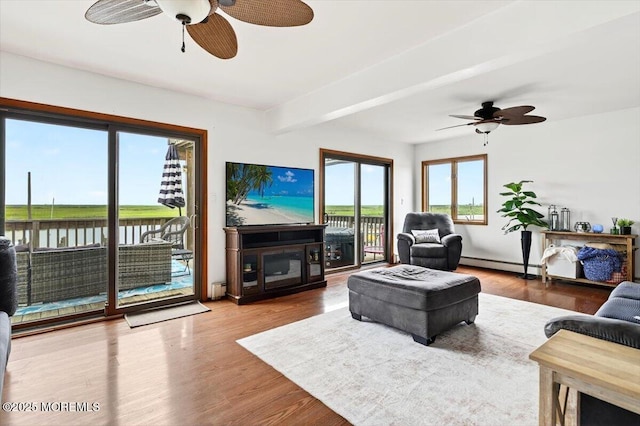 322 Dock Rd, West Creek, NJ 08092 - living area featuring a ceiling fan, a baseboard radiator, wood finished floors, and a glass covered fireplace