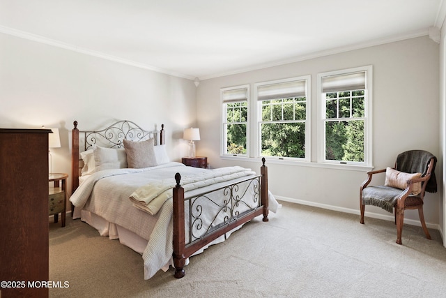 251 Bennington Rd, Freehold, NJ 07728 - photo 31