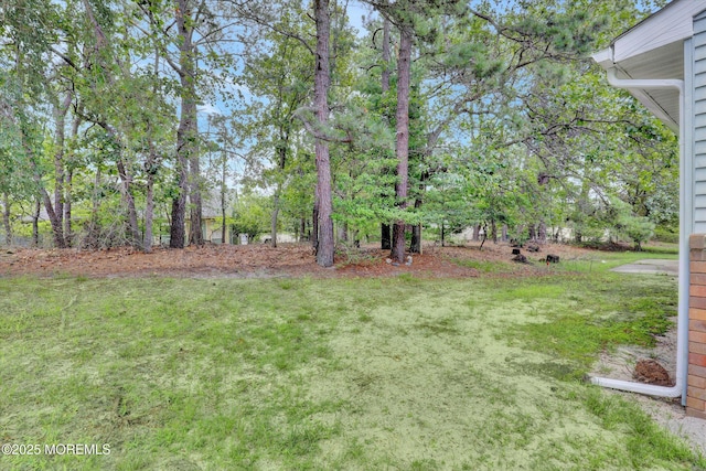 4 Pembroke Ln Unit A, Whiting, NJ 08759 - photo 38