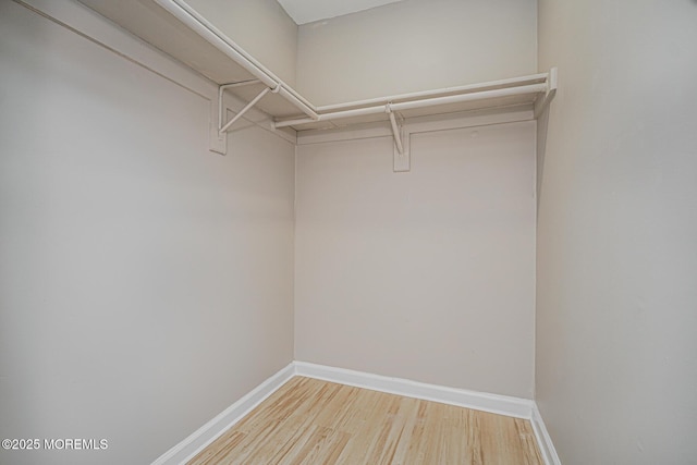 701 Zlotkin Cir Unit 1, Freehold, NJ 07728 - walk in closet featuring wood finished floors
