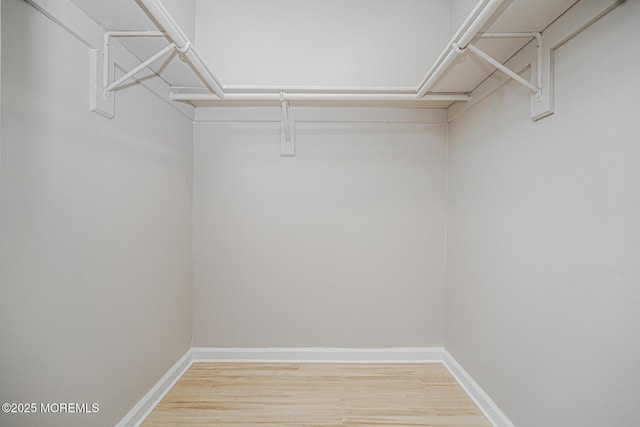 701 Zlotkin Cir Unit 1, Freehold, NJ 07728 - walk in closet with light wood finished floors