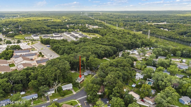 21 Birch Dr, Jackson, NJ 08527 - photo 35