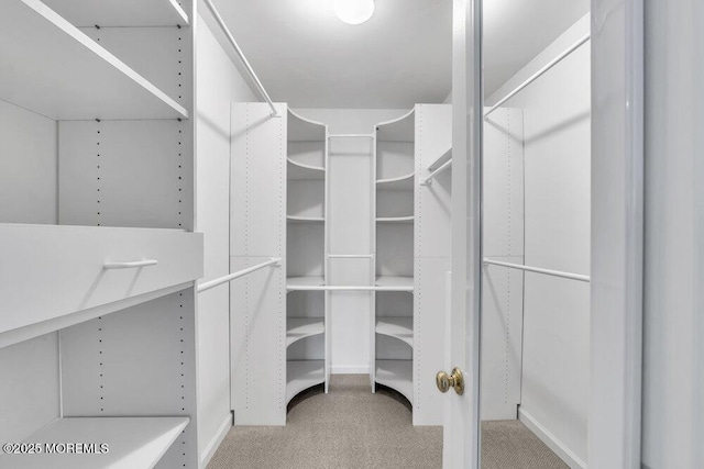 1207 Bayberry Rd, Manasquan, NJ 08736 - walk in closet featuring light colored carpet