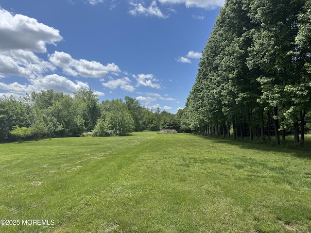 164 Ellisdale Rd, Allentown, NJ 08501 - photo 24