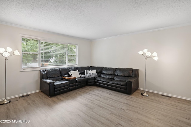 28 Dortmunder Dr, Manalapan, NJ 07726 - living room featuring a textured ceiling, light wood-style floors, and ornamental molding