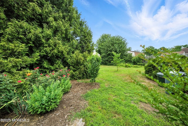 29 Park Ave, Belford, NJ 07718 - photo 41