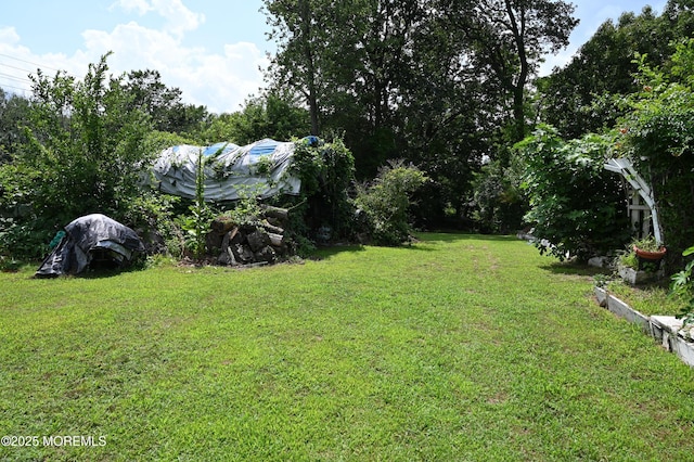 636 Holmdel Rd, Hazlet, NJ 07730 - view of green lawn