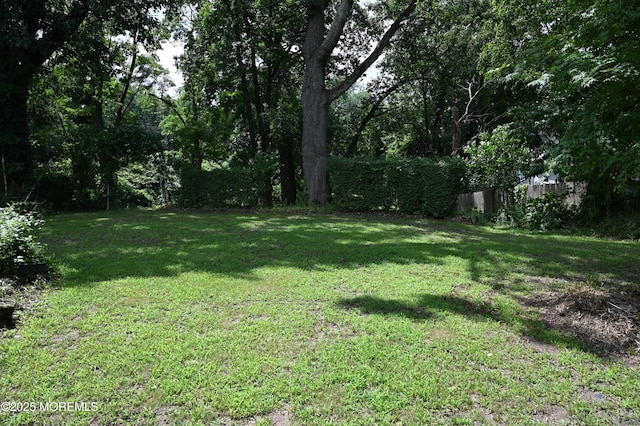 636 Holmdel Rd, Hazlet, NJ 07730 - view of yard