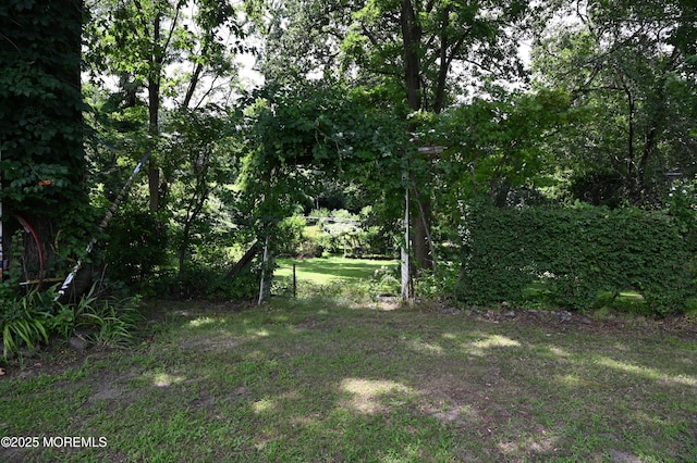 636 Holmdel Rd, Hazlet, NJ 07730 - view of yard