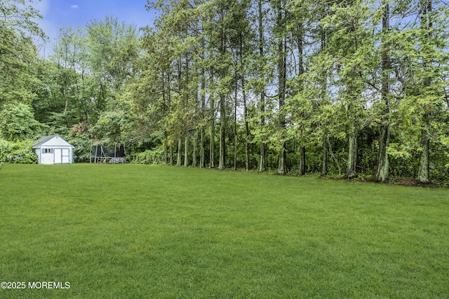 43 Juniper Dr, Freehold, NJ 07728 - photo 54