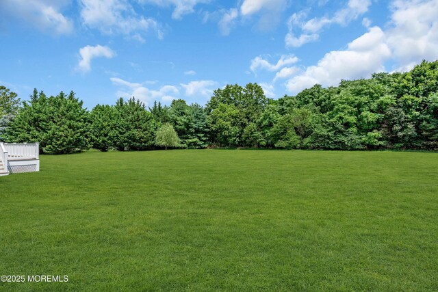 13 Turtle Hollow Dr, Manalapan, NJ 07726 - photo 80