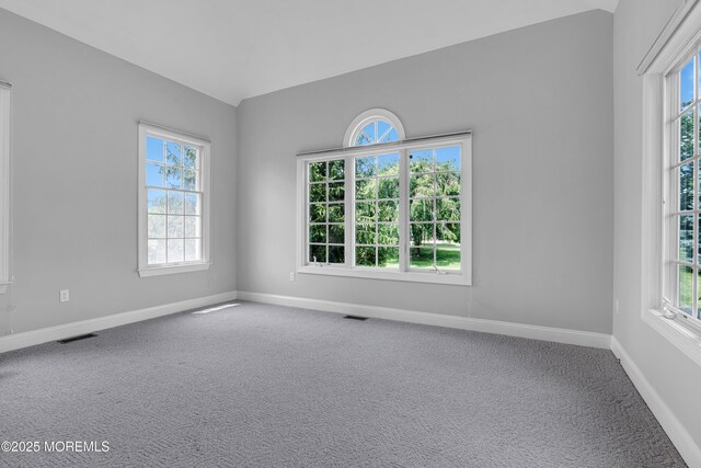 13 Turtle Hollow Dr, Manalapan, NJ 07726 - photo 33