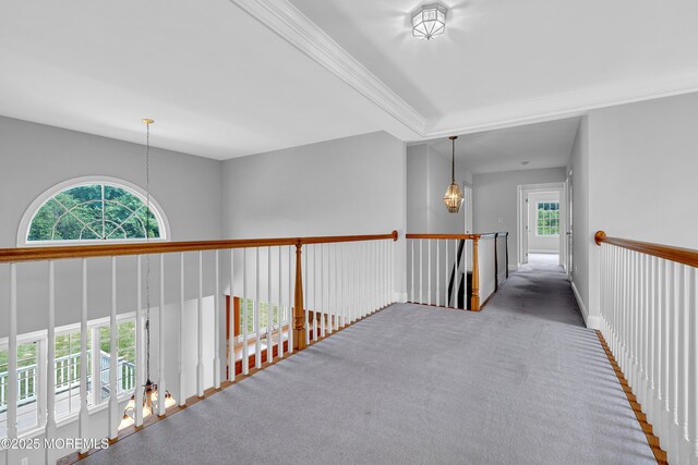 13 Turtle Hollow Dr, Manalapan, NJ 07726 - photo 50