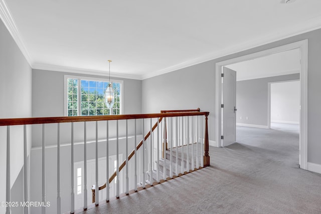 13 Turtle Hollow Dr, Manalapan, NJ 07726 - photo 51