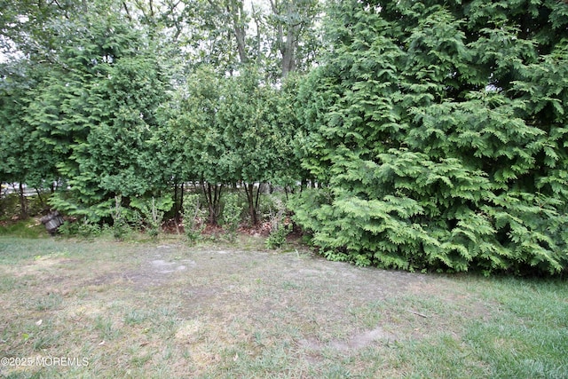 2 Dowing Ln, Jackson, NJ 08527 - view of undeveloped land