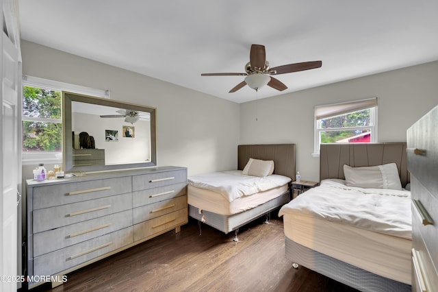 23 Montana Dr, Jackson, NJ 08527 - bedroom featuring multiple windows, dark wood-type flooring, and ceiling fan