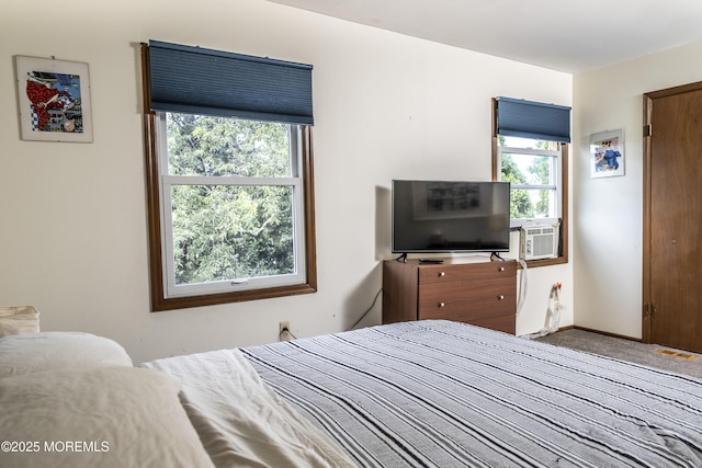 28 Florence Ave, Leonardo, NJ 07737 - bedroom with cooling unit and carpet