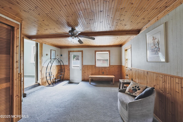 107 Seneca Lake Dr, Little Egg Harbor, NJ 08087 - living area with wood walls, wooden ceiling, carpet, ceiling fan, and a wainscoted wall