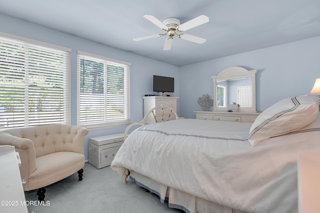 308 Ashford Rd, Toms River, NJ 08755 - photo 27