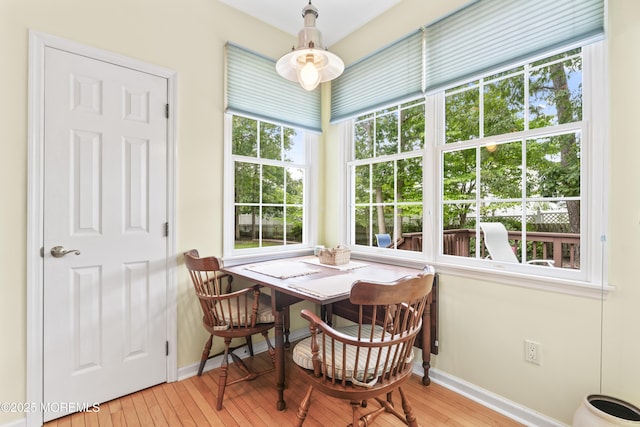 116 Tuna Ct, Manahawkin, NJ 08050 - photo 11