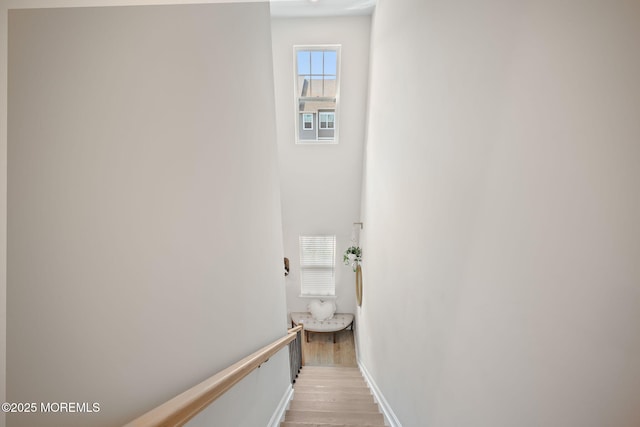 7 Chapel Ln, Wall, NJ 07753 - photo 22