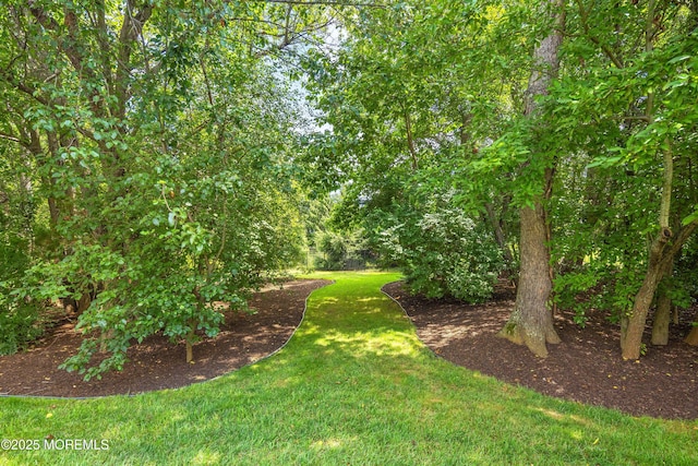 8 Pittenger Ct, Millstone, NJ 08535 - photo 47