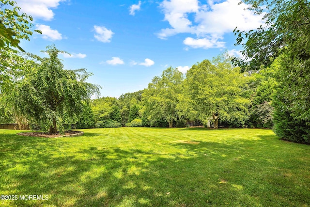 8 Pittenger Ct, Millstone, NJ 08535 - photo 48