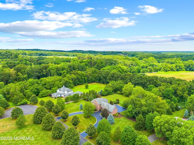 8 Pittenger Ct, Millstone, NJ 08535 - photo 51