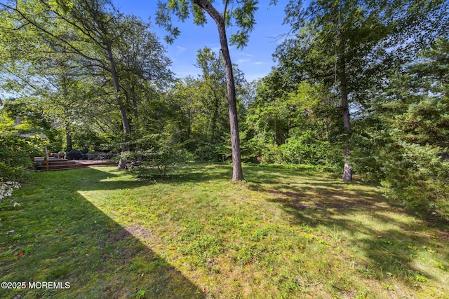 33 Shoveler Dr, Manahawkin, NJ 08050 - photo 53