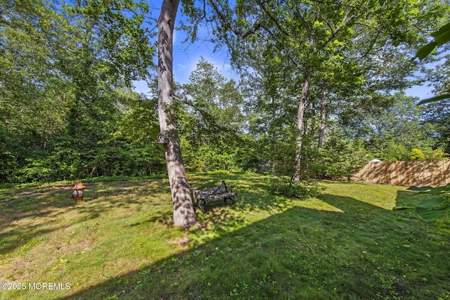 33 Shoveler Dr, Manahawkin, NJ 08050 - photo 54