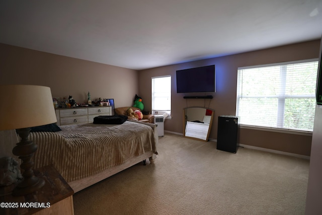 23 Heron Ct, Manalapan, NJ 07726 - photo 19