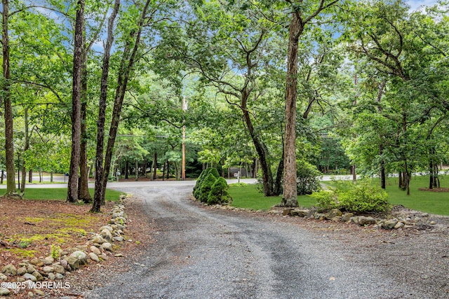 341 Stage Rd, Little Egg Harbor, NJ 08087 - photo 35